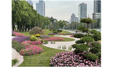 來現場打卡，感受“美麗無錫”的美好